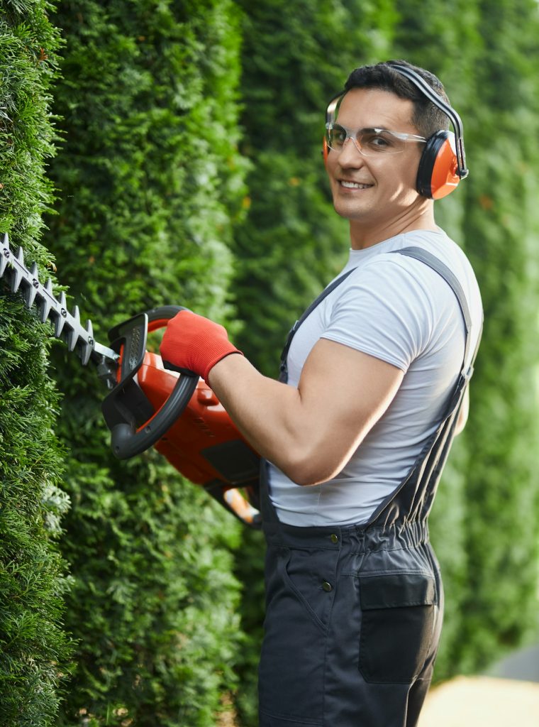 Gardener in uniform cutting hedge on back yard