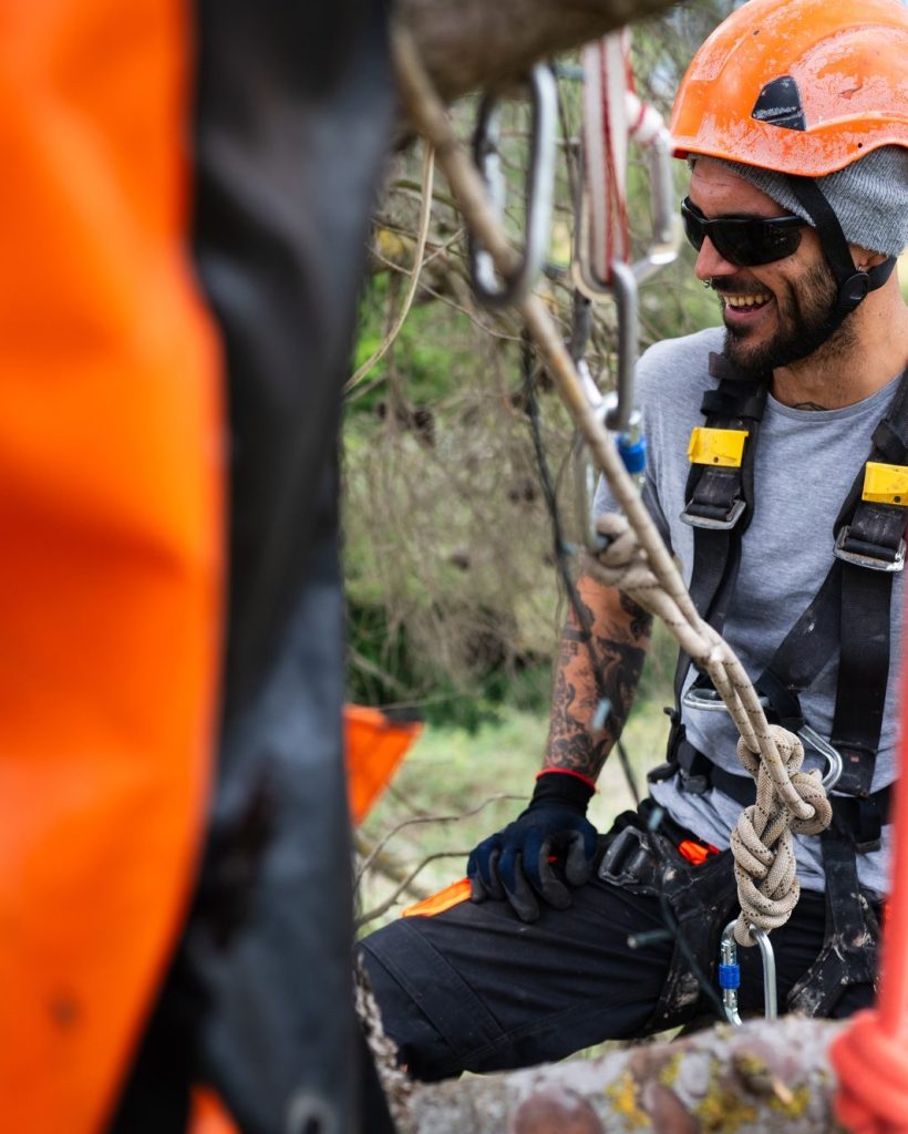 Rope access technician pruning trees using specialized equipment and safety gear
